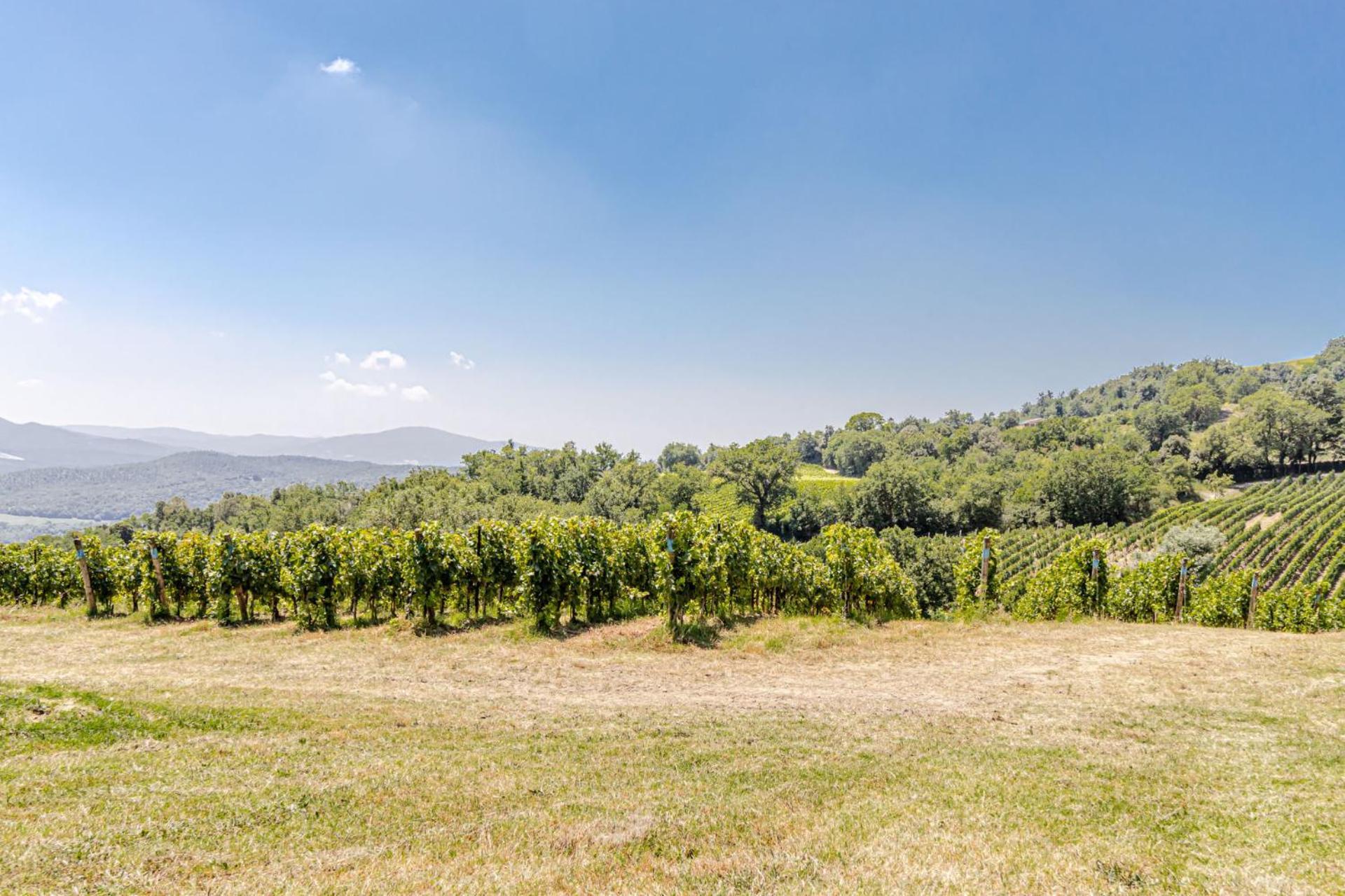 Chateau La Siroque Montecatini Val di Cecina Esterno foto