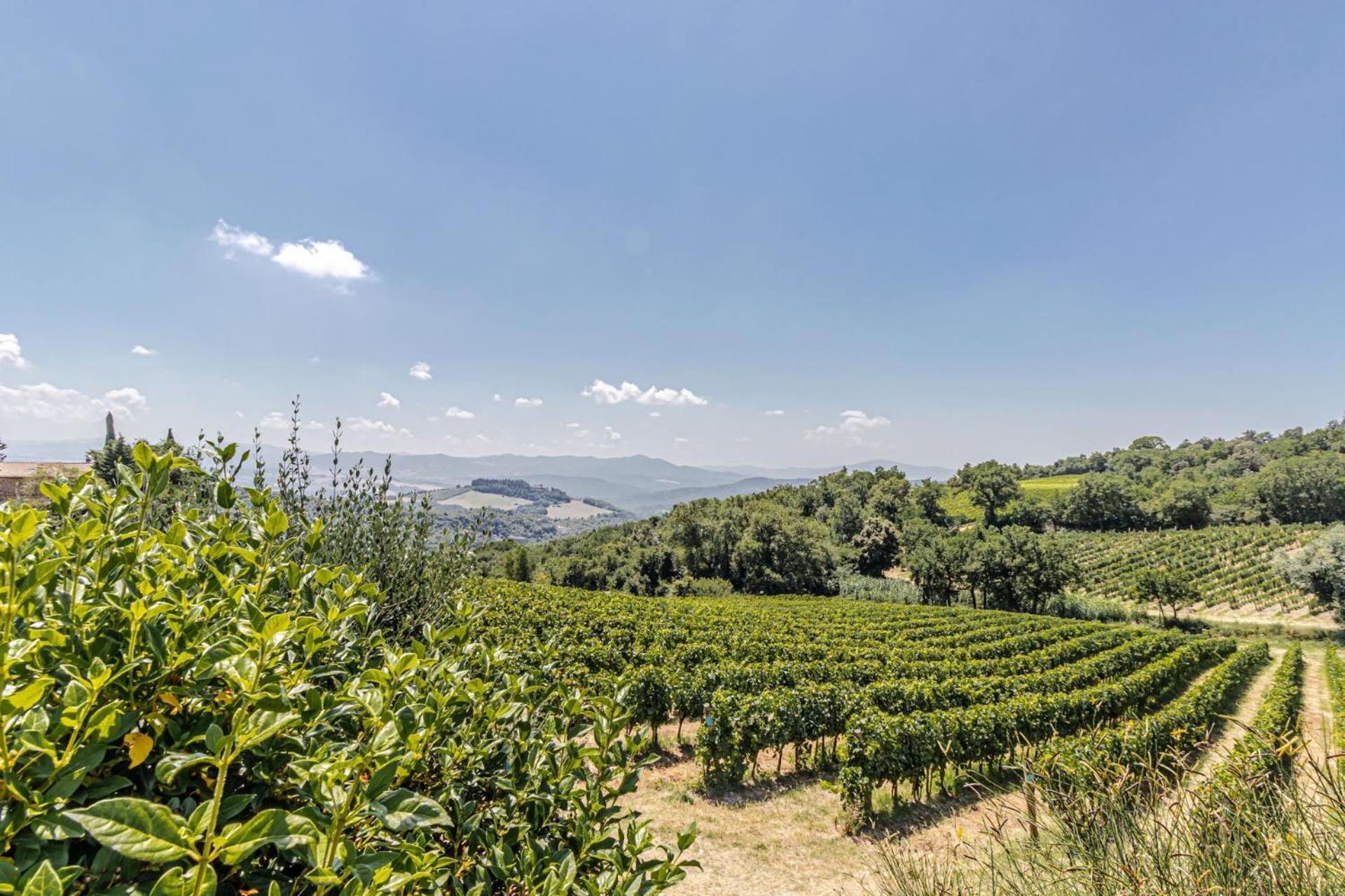 Chateau La Siroque Montecatini Val di Cecina Esterno foto